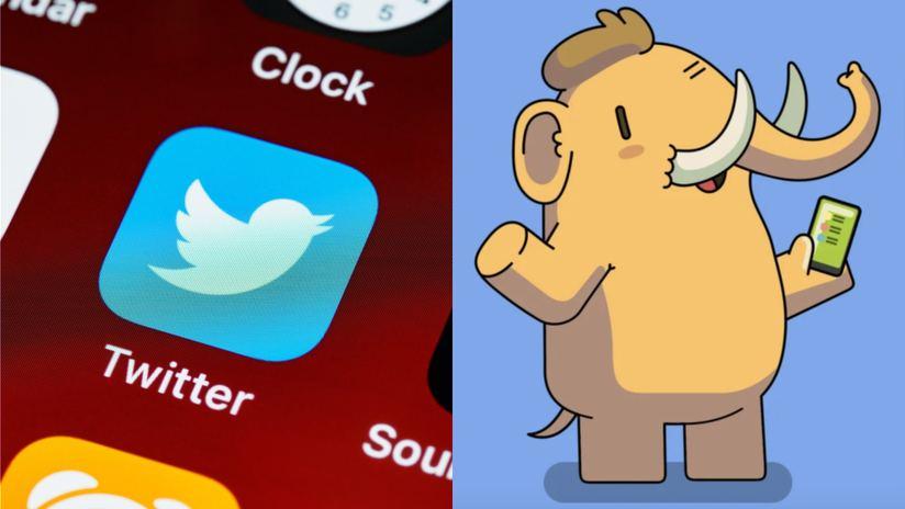 Usuarios de Twitter se están mudando a ‘Mastodon’