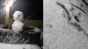Así lució la primera nevada en Nuevo León
