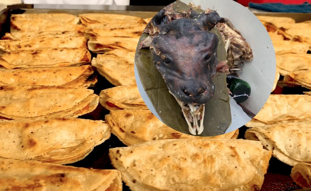 Clausuran puesto de tacos con carne de perro en Tizayuca, Hidalgo; dueños lo niegan
