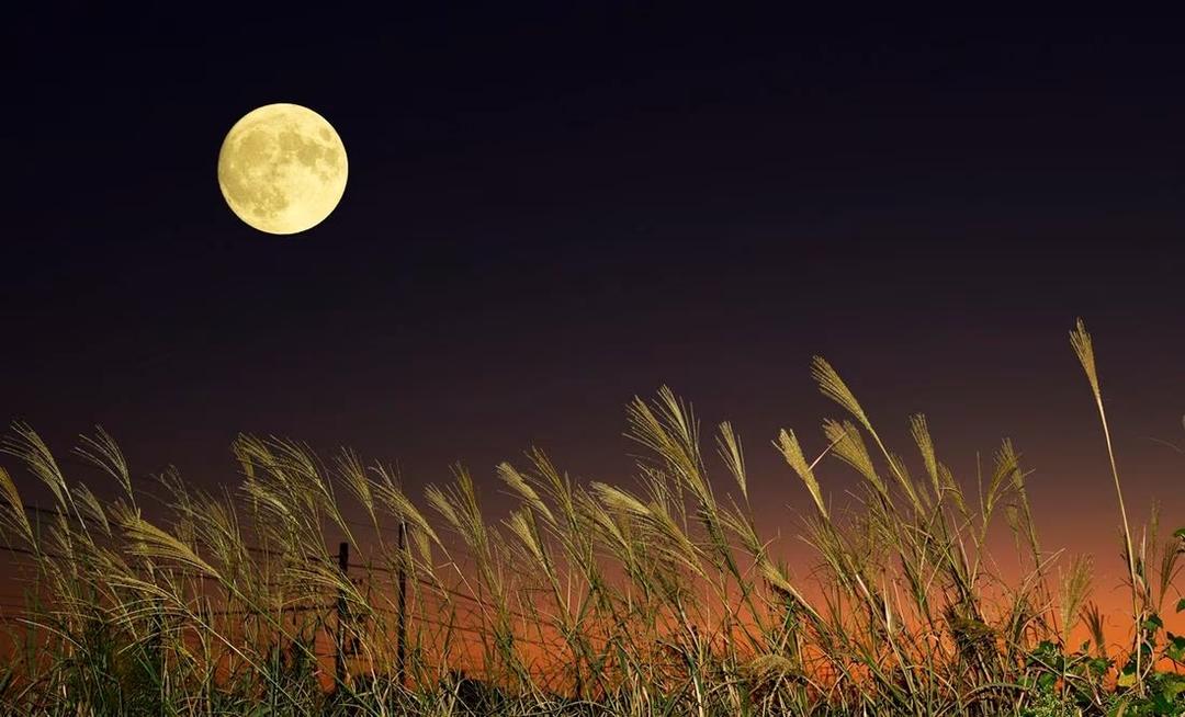 Superluna de septiembre se verá en México; te decimos cuándo