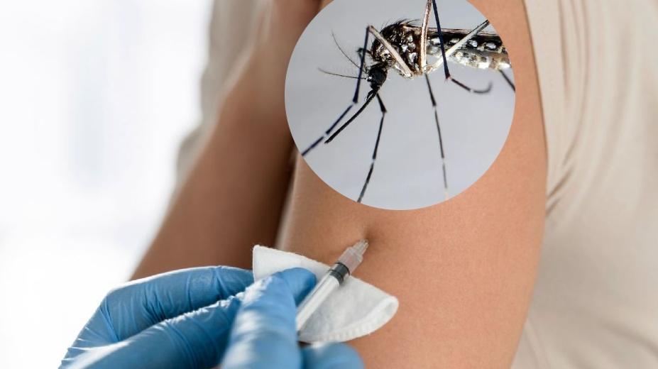 Dengue en niños: Cofepris advierte sobre el riesgo de la vacuna en menores de nueve años