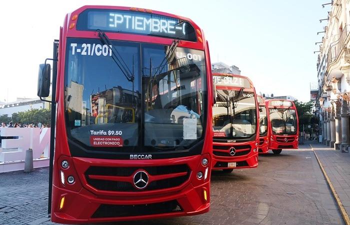 Halloween en Guadalajara: Transporte público alista paro para evitar agresiones