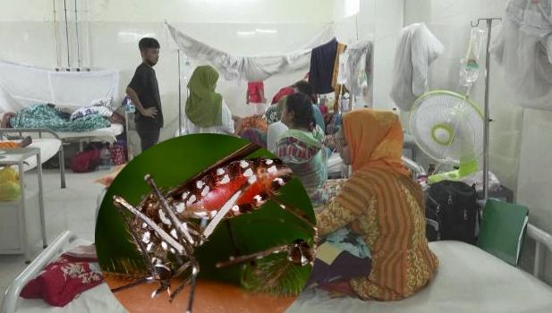 Epidemia de dengue en Bangladés deja a más de 1.000 muertos este año