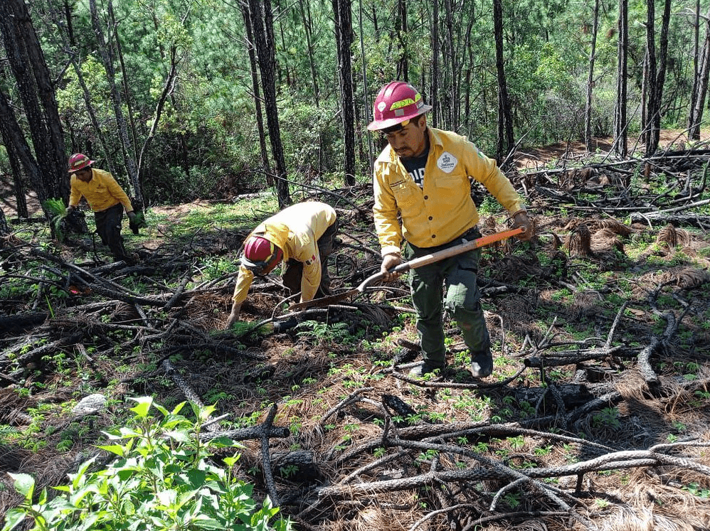 SEMADET Jalisco inicia prevención de incendios forestales