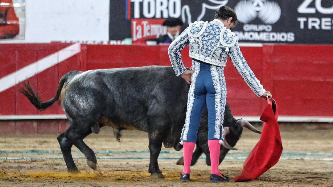 Corridas de toros: Empresarios rechazan corridas sin muerte del toro en México