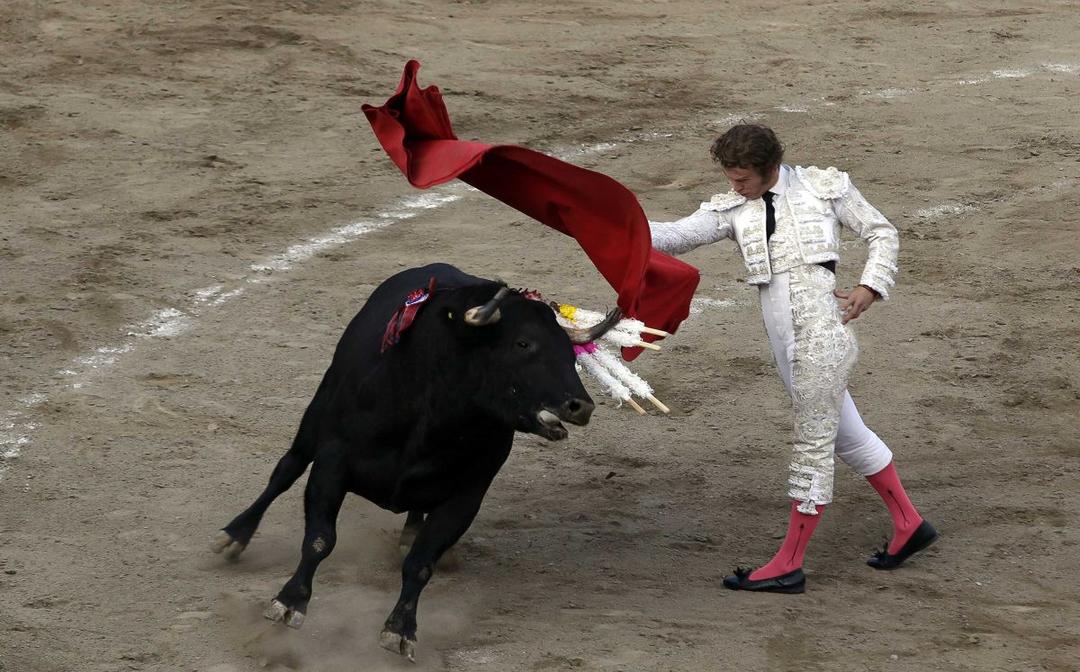 Corridas de Toros en Guadalajara están canceladas, confirma Plaza De Toros Nuevo Progreso