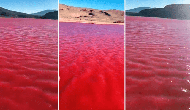 El Río Nilo se pinta de rojo y en redes generan especulaciones sobre presagio bíblico