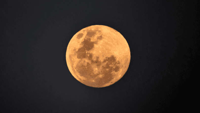 Luna de Castor: ¿Cómo y cuándo ver la luna que le dice adiós a noviembre?