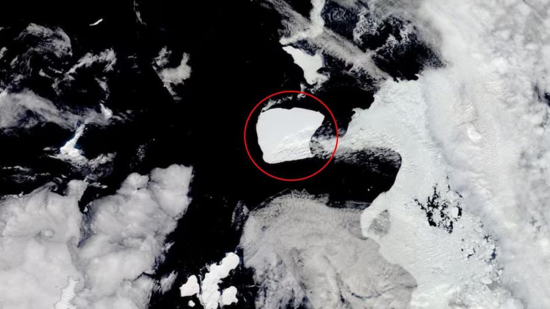 El Iceberg más grande del mundo está a la deriva en el mar