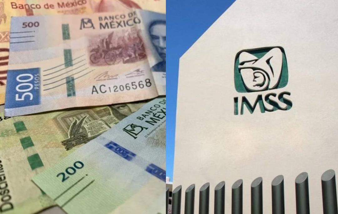 Pensión IMSS: Así subirá el pago para pensionados a partir de enero de 2024
