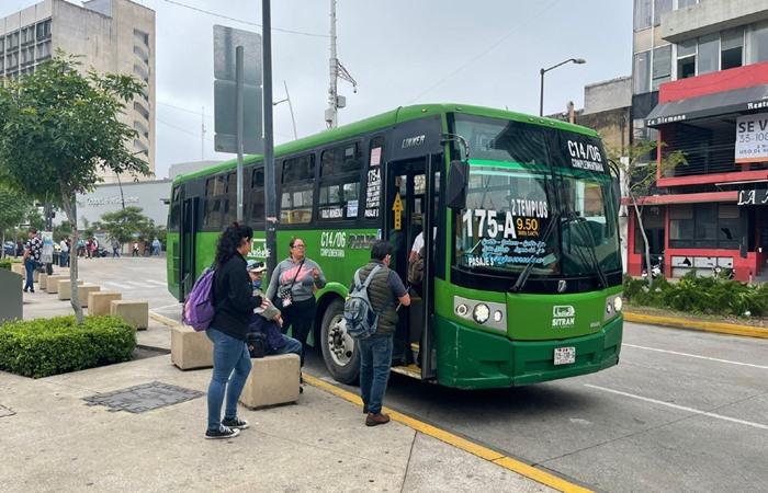 Camiones de transporte público modificarán su ruta este domingo