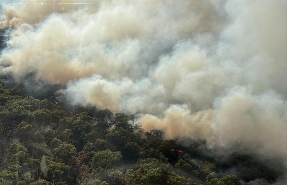 Incendio forestal: Semadet activa Alerta Atmosférica en Tala, Zapopan y Guadalajara