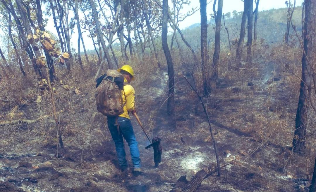 Bosque La Primavera: Detienen a hombre acusado de iniciar el incendio en el ANP