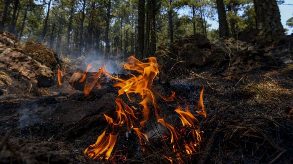 Semadet activa Alerta Atmosférica en Mascota, Atenguillo y Talpa de Allende