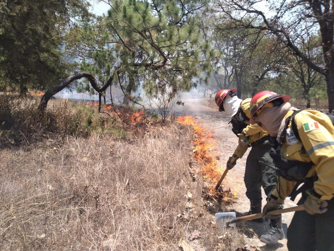 Bosque de la Primavera: Se registra incendio forestal cerca de las Tinajitas