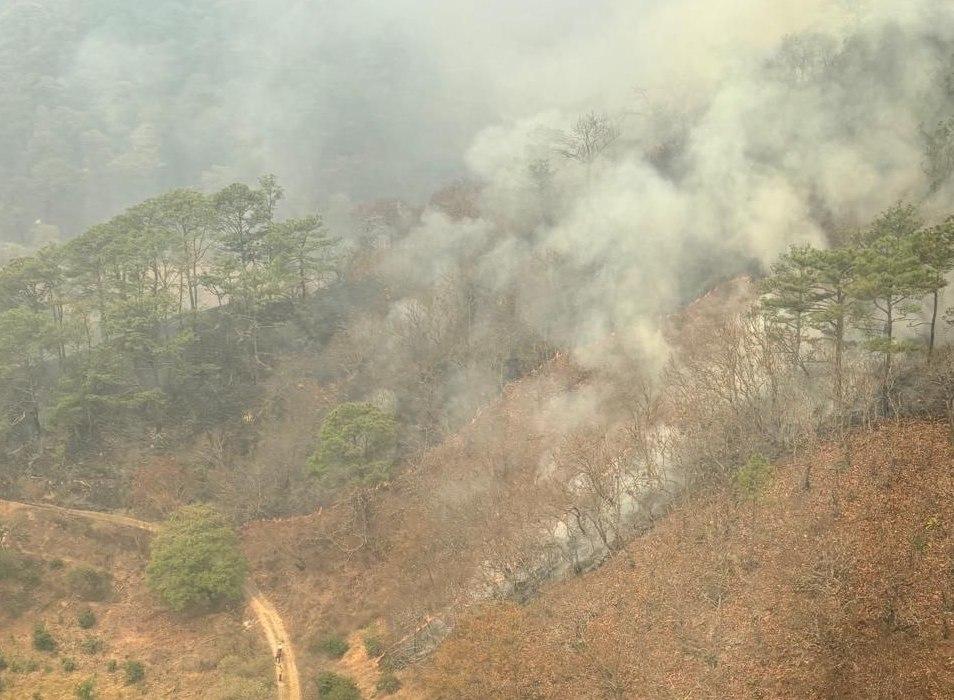 Mascota: Fallece una persona en incendio forestal en Mascota