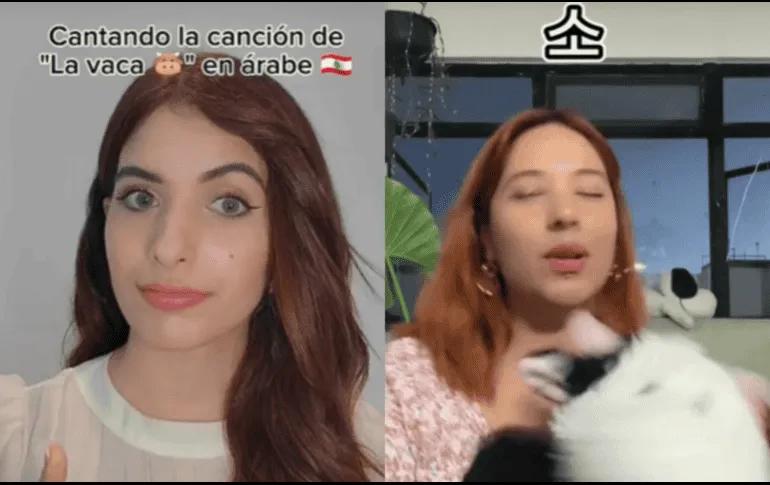 Viral: Influencers cantan Mu, la vaca en distintos idiomas en TikTok