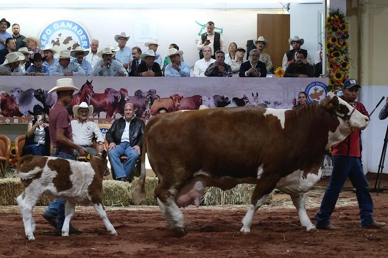 Arranca la Expo Ganadera en Jalisco