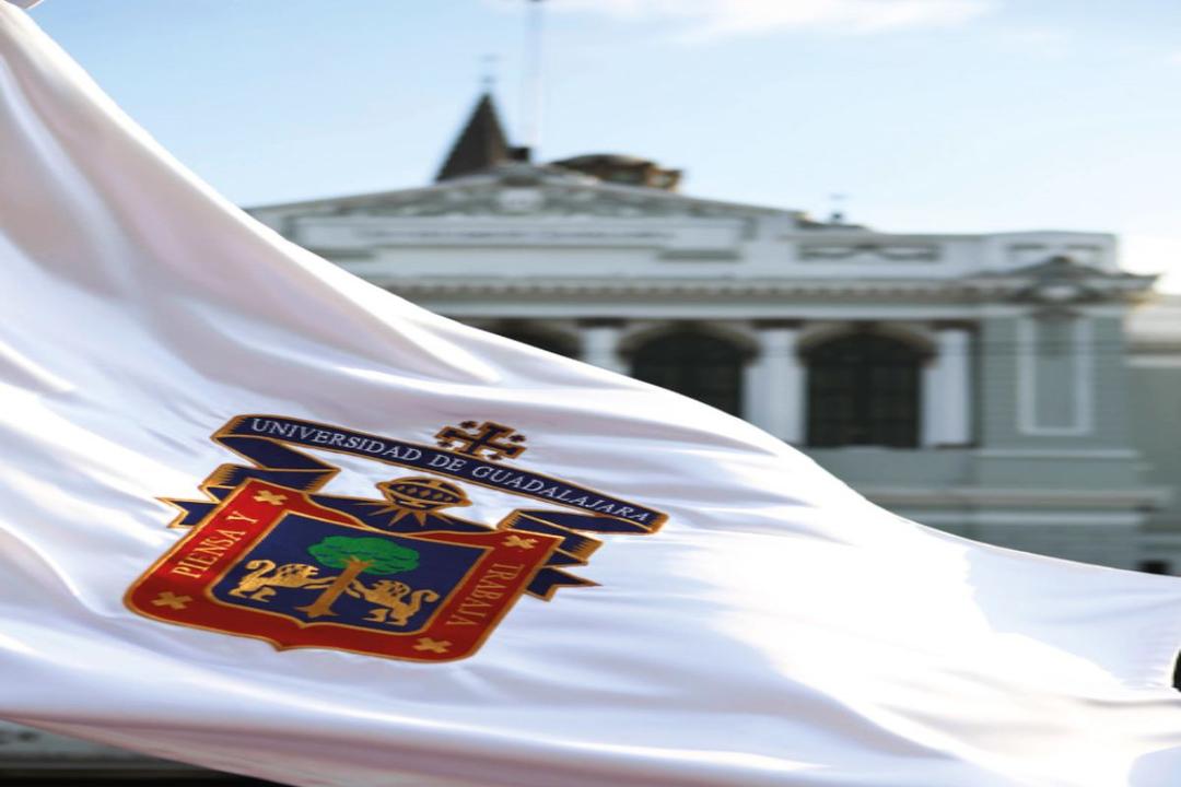 UDG listas 2024: Consulta aquí los resultados de admisión