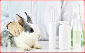 Se prohíbe pruebas cosméticas en animales