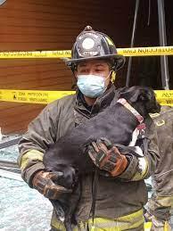 Bomberos rescatan perro tras explosión de Coyoacán