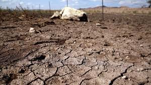 Declara Conagua emergencia por sequía severa o extrema en México 