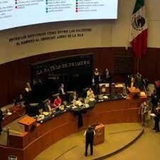 El Senado avaló en lo particular el “Plan B”; se vota en Cámara de Diputados