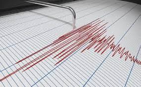 Van 210 réplicas del sismo en Guerrero: Sismológico Nacional