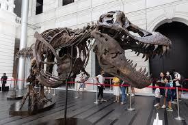 Causa conmoción la subasta de un T-REX en Asia