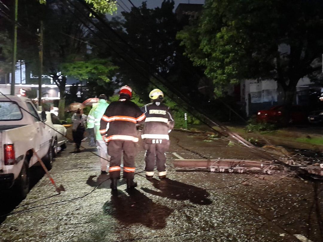 Lluvia en ZMG: Cae un árbol y un poste en la zona Chapultepec