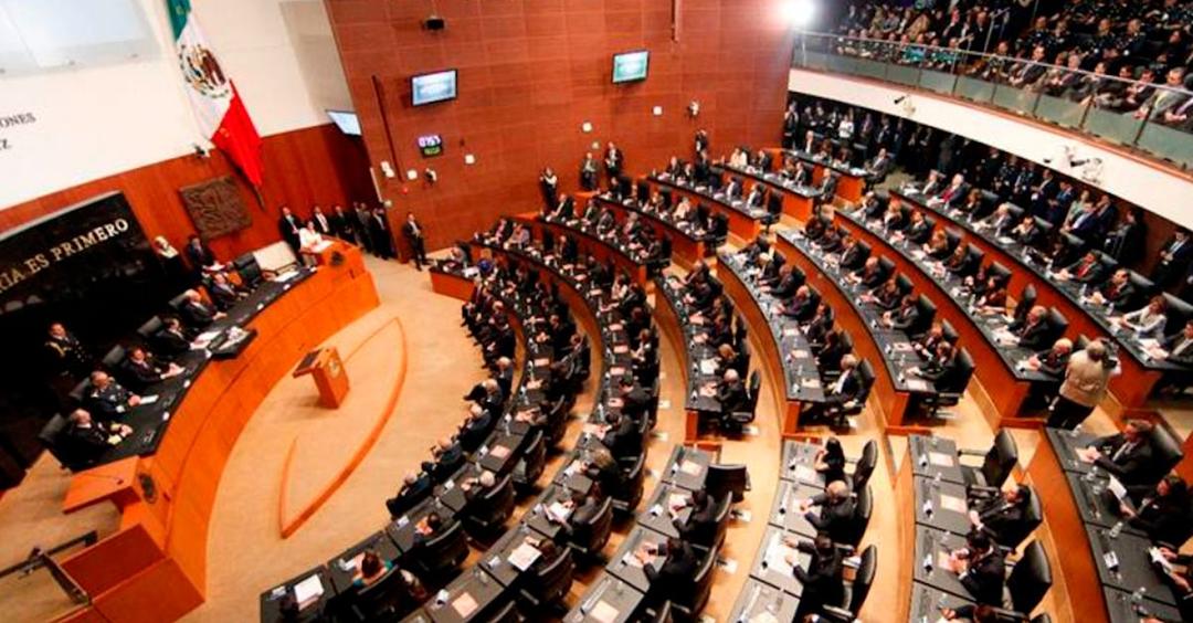 Senadores de MC refrendan su voto contra la reforma Judicial