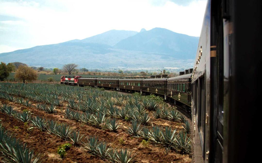 Tequila Express: Relanzan el recorrido turístico; así puedes comprar boletos