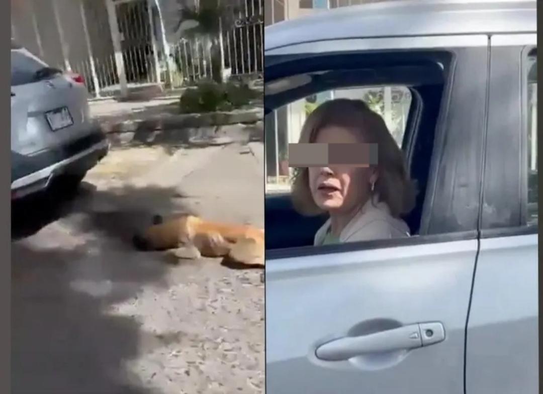 Tlaquepaque: Dejan en la cárcel a mujer que arrastró a perrito con su camioneta