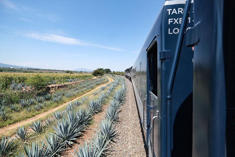 Tequila Express: ¿Cómo y dónde comprar boletos para el recorrido?