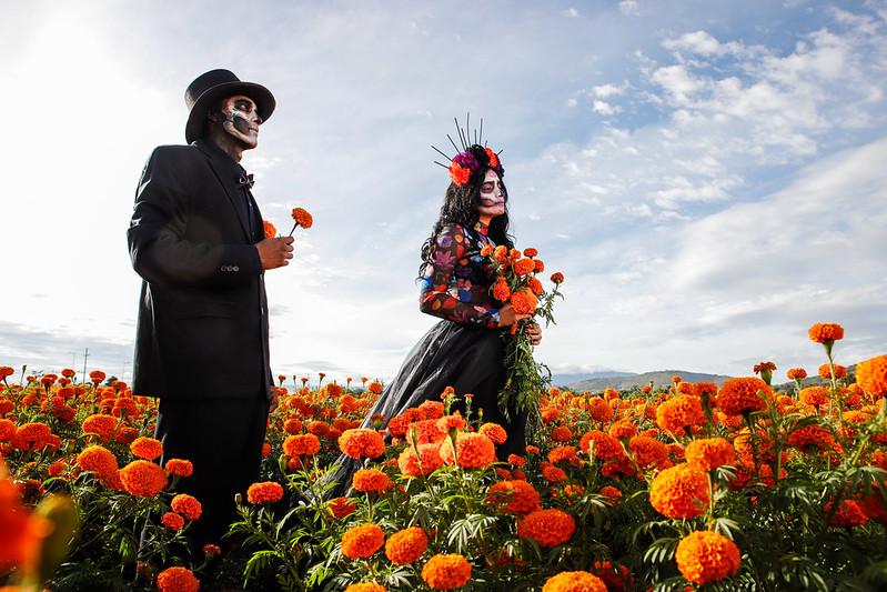 Festival Mictlán 2024: Celebra el Día de Muertos en Tlajomulco con sorpresas