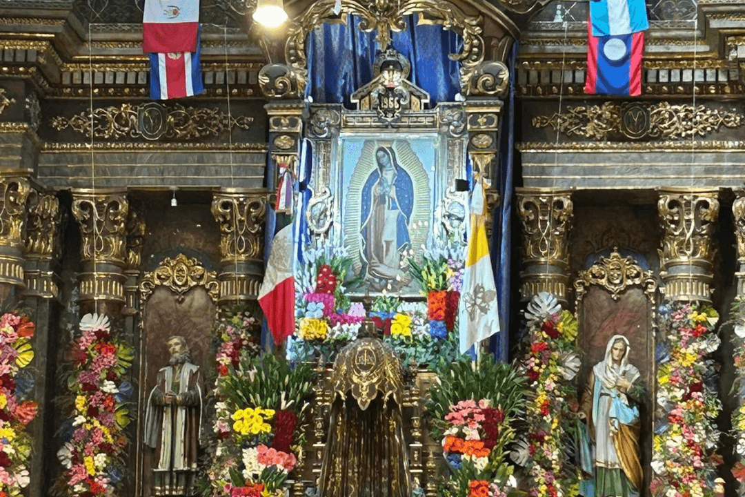 Virgen de Guadalupe: miles se congregan en el Santuario