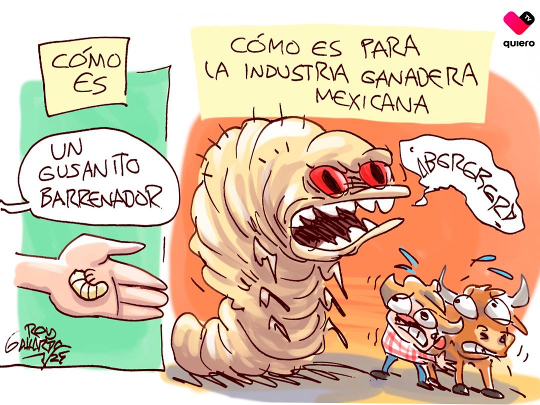 El Guante Blanco