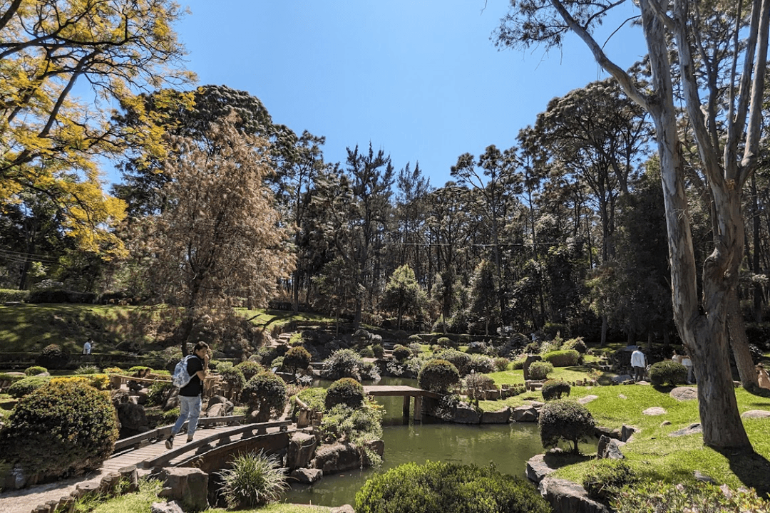 Parque Colomos en Guadalajara: Estos son los horarios y actividades