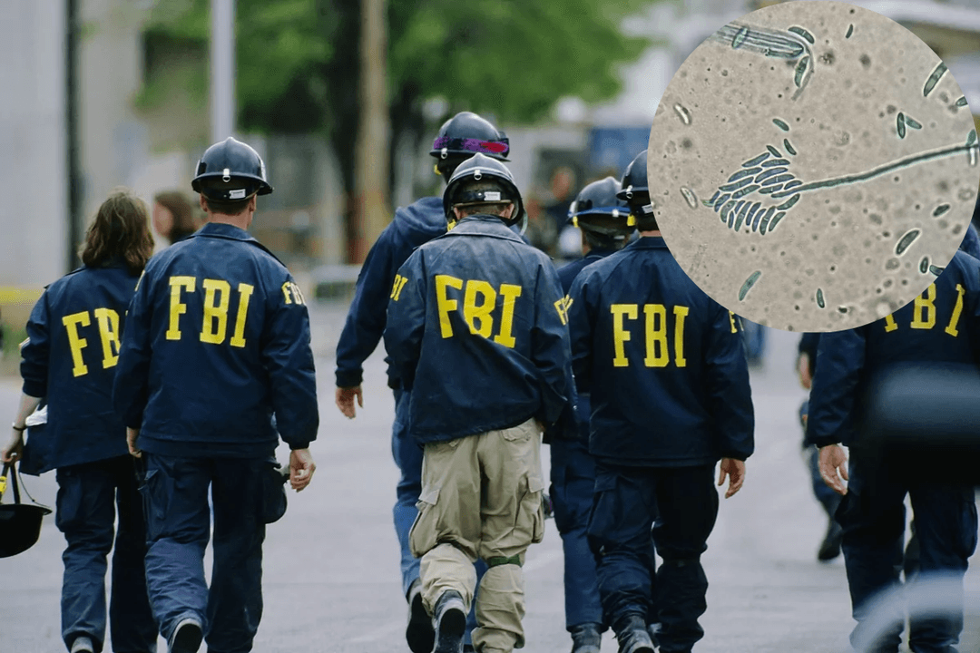 Estados Unidos detiene a dos chinos que traían un peligroso hongo