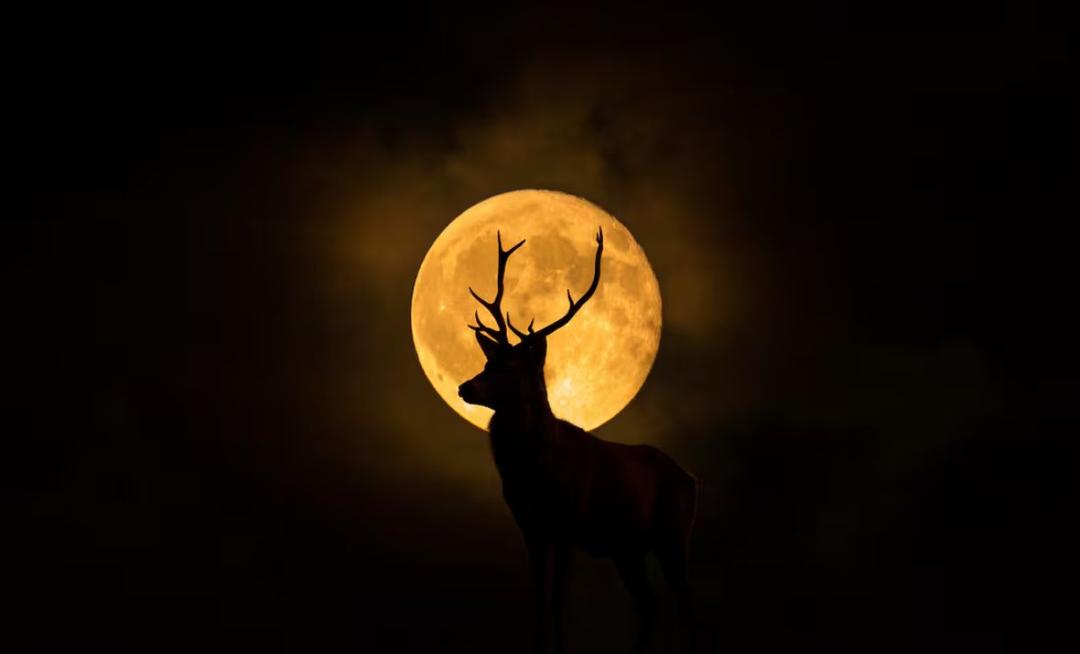 Luna de Ciervo: ¿Cuándo y cómo verla en México?