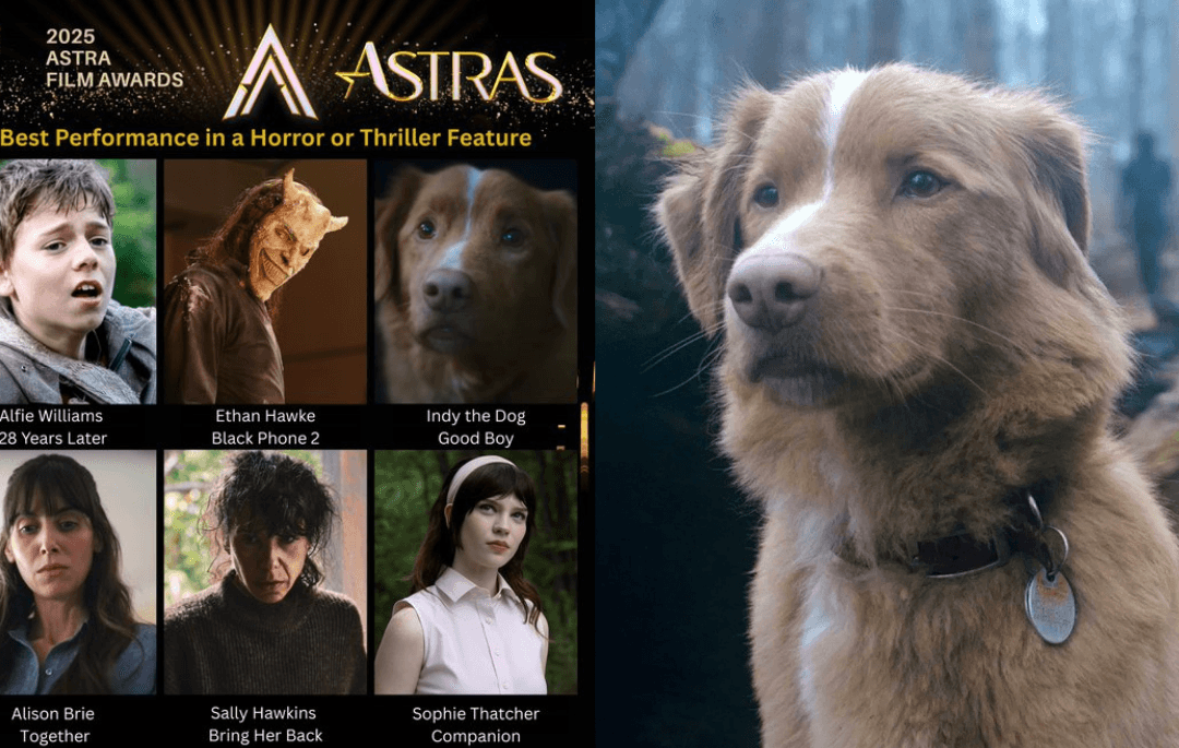 Indy: Perro de ‘Good Boy’ está nominado a los Premios Astra