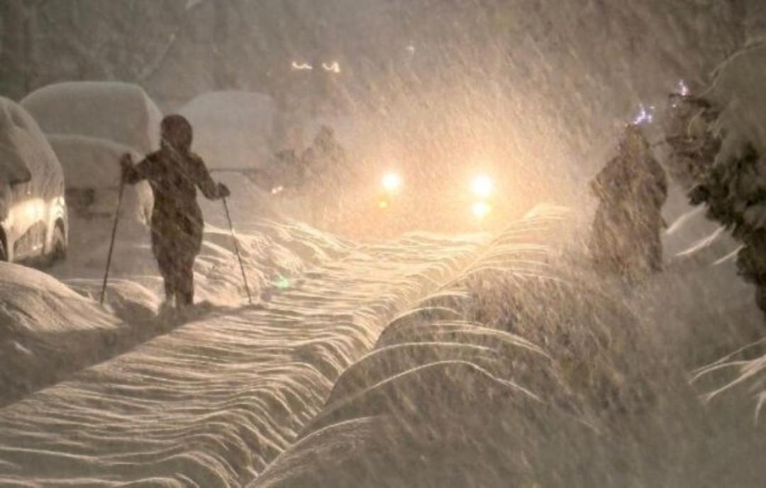 Toronto: Histórica nevada paraliza la ciudad; declaran emergencia