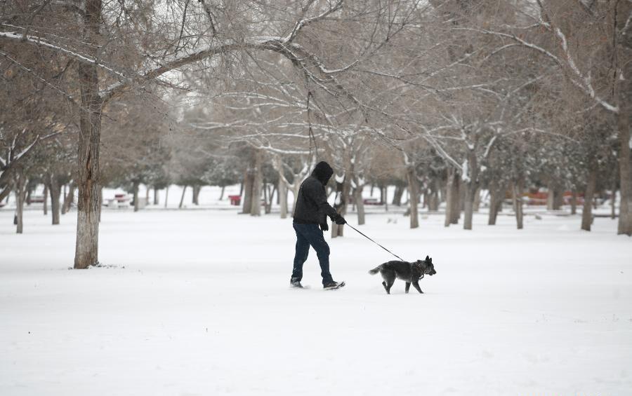 Ciudad Juárez se cubre de nieve por bajas temperaturas