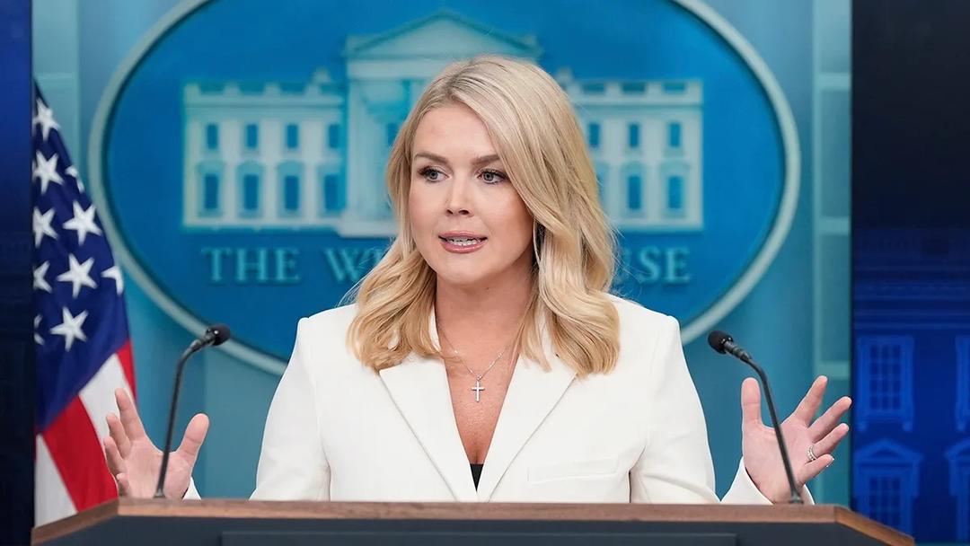 Casa Blanca: Vocera advierte a grupos criminales mexicanos; esto dijo