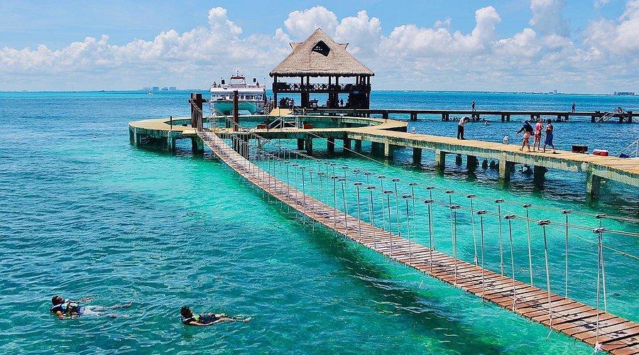 Dolphin Discovery: Detienen al director y accionista en Cancún; este es el motivo  