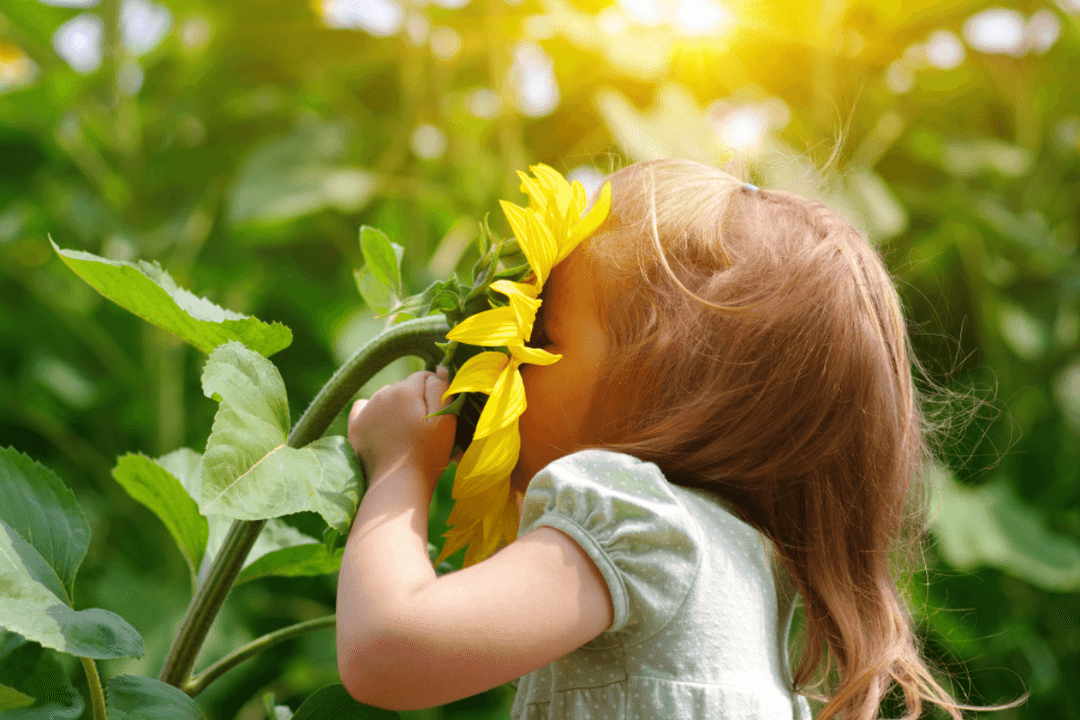 Equinoccio de Primavera 2026: Rituales para inicio de una nueva estación