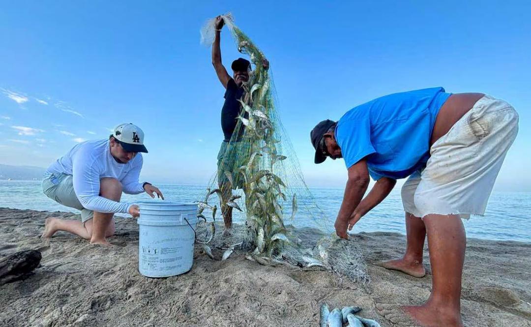 Puerto Vallarta: Pescadores regresan a actividades tras violencia