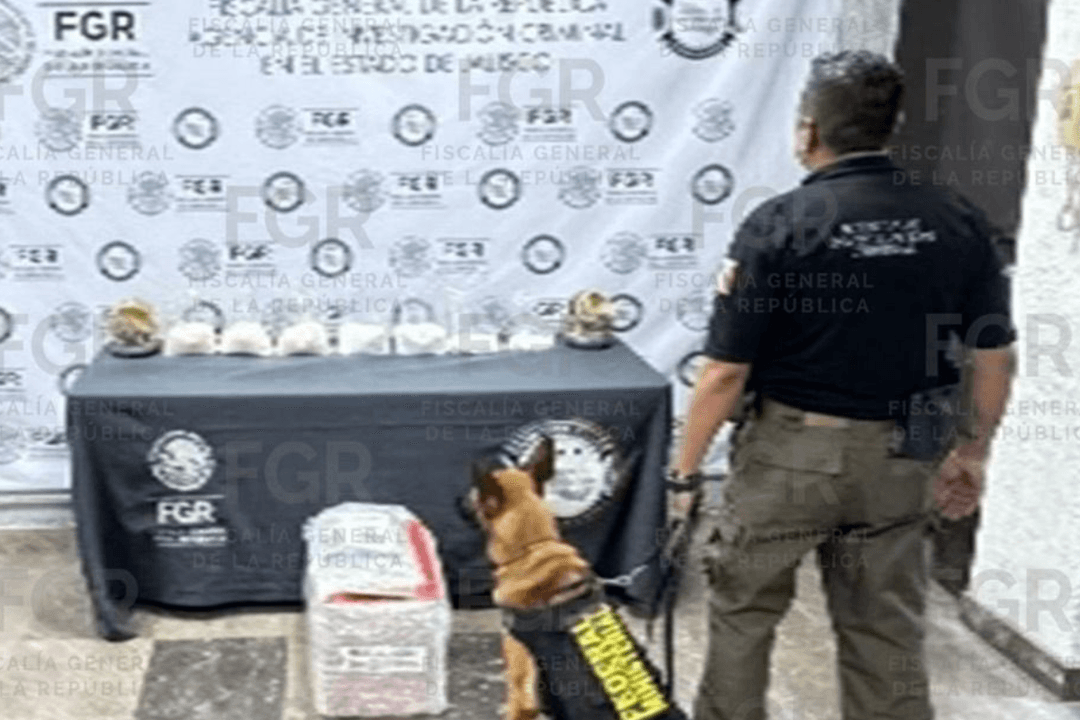 Guadalajara:  La FGR informó la incautación de metanfetamina