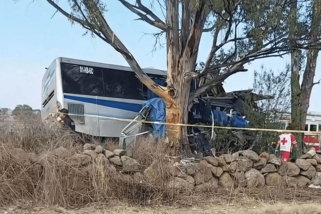 Querétaro: Accidente de autobús deja al menos 9 muertos y varios lesionados