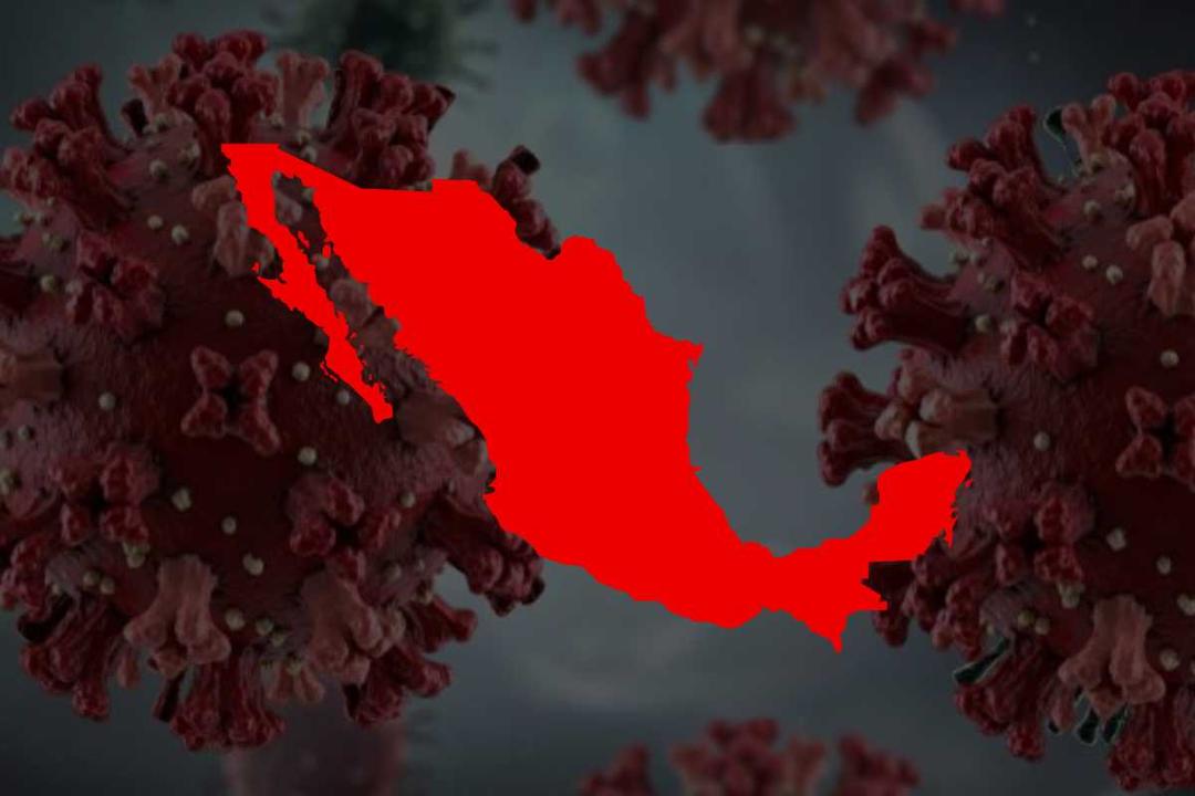 Hantavirus: México en alerta epidemiológica